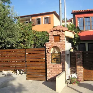 Arabas Guest house